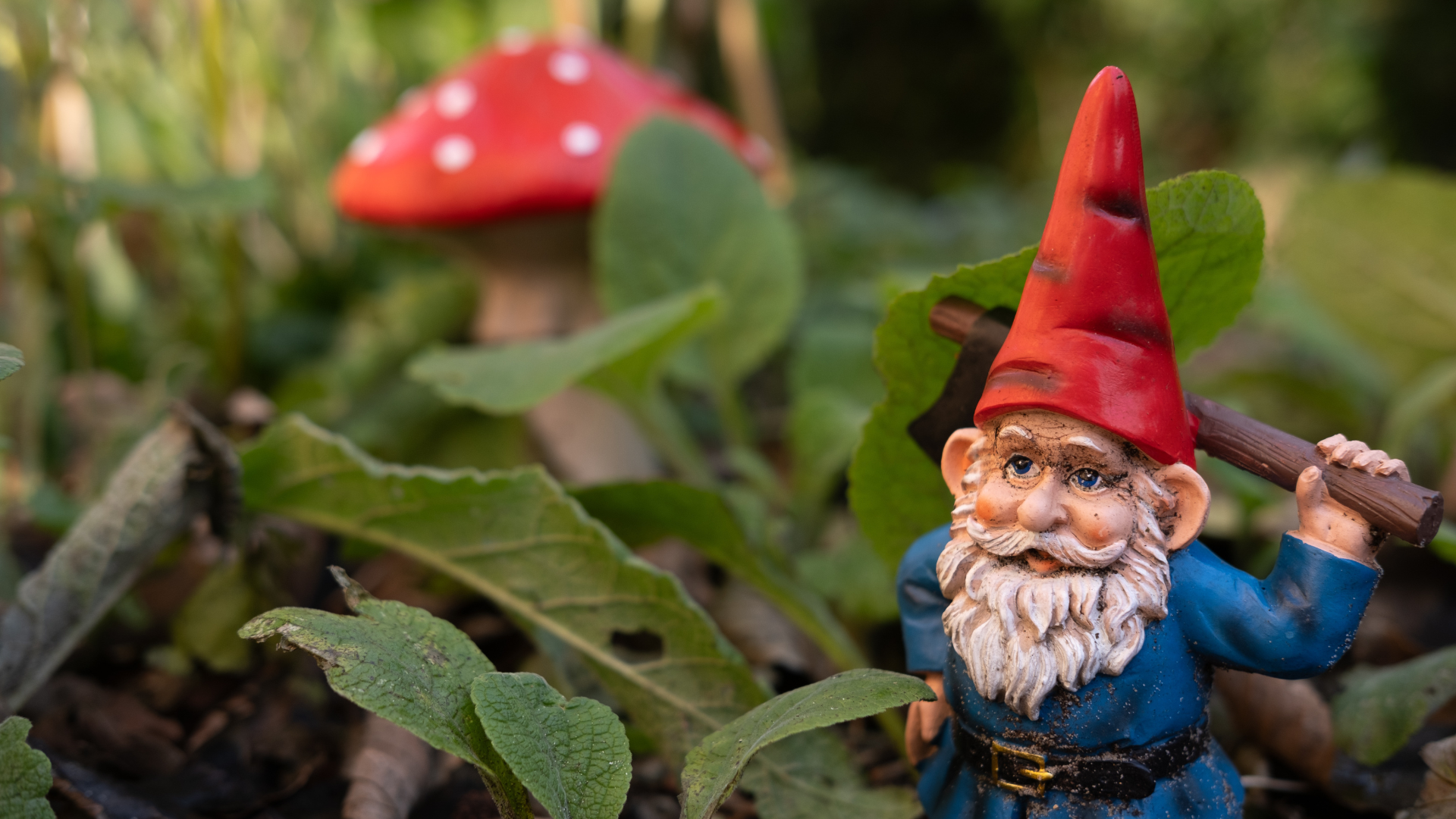 Aktivitäten für Familien und Kinder