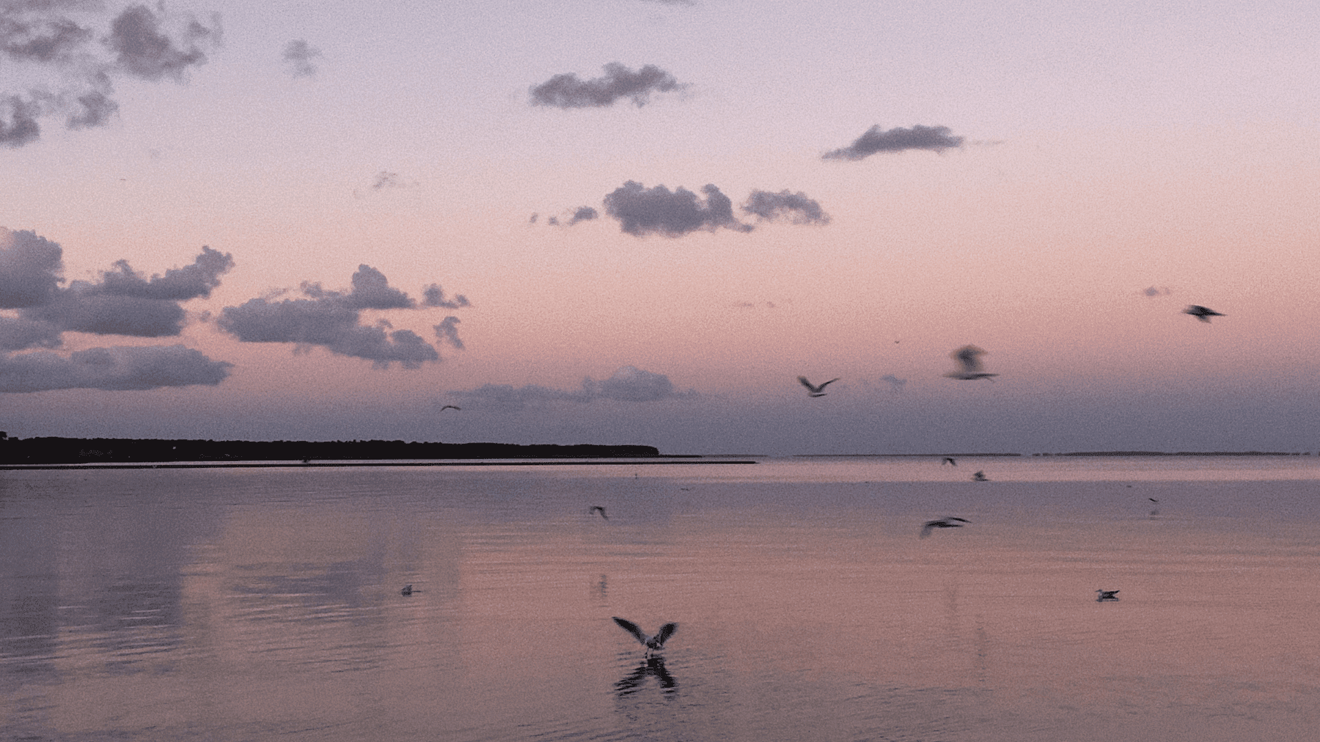Bootsfahrt auf dem Grevelingenmeer